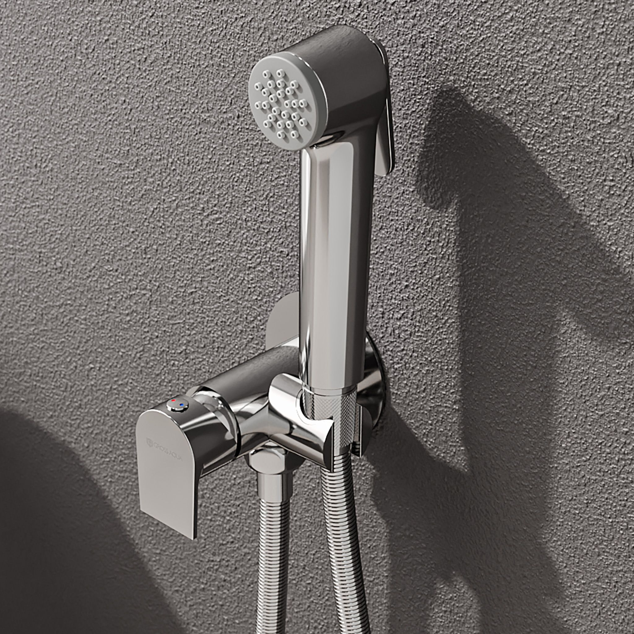 Смеситель c гигиеническим душем встраиваемый Биде (Bidet) GA042601C